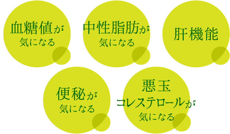 血糖値、中性脂肪、肝機能、便秘、悪玉コレステロールが気になる